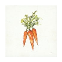 Anne Tavoletti 'Veggie Market V Carrots' Canvas Art