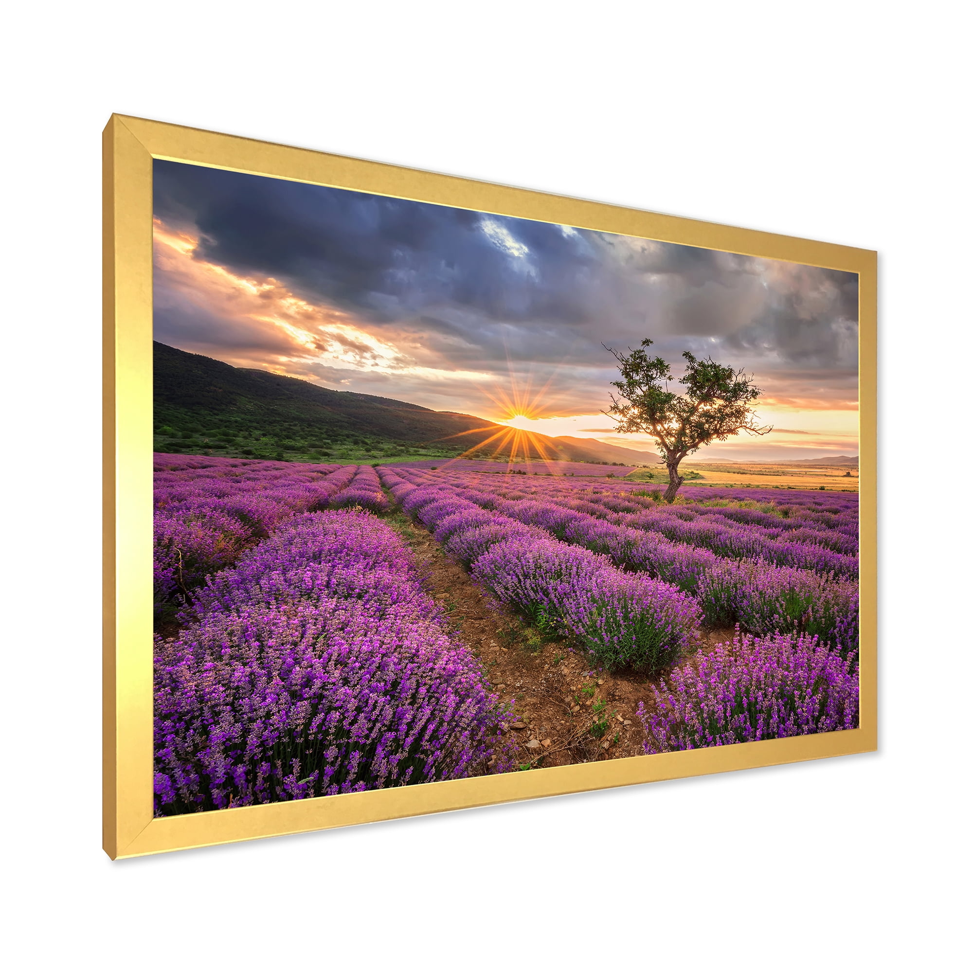 Designart 'Dramatic Clouds and Sunrise Over Lavender Field VIII' Farmhouse Framed Art Print