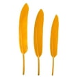 thumbnail image 1 of Yhmxh Kitchen Gadgets Kitchen Utensils Home and Kitchen 50pc Feather Small Straight Knife Colored Feather Kindergarten DIY The simulation feathers, 1 of 1