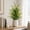 Green C, variant on 2 Pack Realistic Artificial Persian Grass Potted Plastic Plant For Living Room Shelf Mantle And Office Decor Multicolor 23.2 Inches
