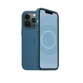 thumbnail image 1 of Apple Animation Magsafe 13 Pro Liquid Silicone Magnetic Case For iPhone 13 Pro Max pro Case Wireless Charging Drop Protect Cover Blue Jay for iphone13ProMax(6.7"), 1 of 6