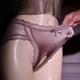 thumbnail image 1 of Women Briefs Lace Underwear Crothless Panties Lingerie Satin Sheer, 1 of 8