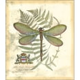 thumbnail image 3 of Vision Studio 15x17 Black Modern Framed Museum Art Print Titled - Mini Regal Dragonfly II, 3 of 5