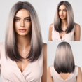 thumbnail image 1 of Peluca recta plateada con resaltado negro para mujer, pelucas largas sintéticas de encaje de rayita, cabello resistente al calor de aspecto Natural para fiesta diaria, 1 of 4