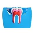 thumbnail image 3 of Estuche para Tarjetas de Nombre commerce business de Odontología de Goma Azul, 3 of 9
