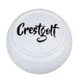 thumbnail image 1 of 1Pcs/2Pcs/5Pcs Flat Golf Training Balls Flat Shape Golf Ball Two Layer Driving Balls Golf Practice Balls for Swing Putter white, 1 of 6