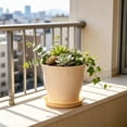 thumbnail image 5 of Plastic Flower Pot with Scalloped Rim for Indoor and Outdoor Plants, Suitable for Succulents and Green Plants, Home Decor Planter, 5 of 5