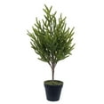 thumbnail image 1 of Arbre de Pin Norfolk Vert en Pot de 23,5 Pouces, 1 of 1