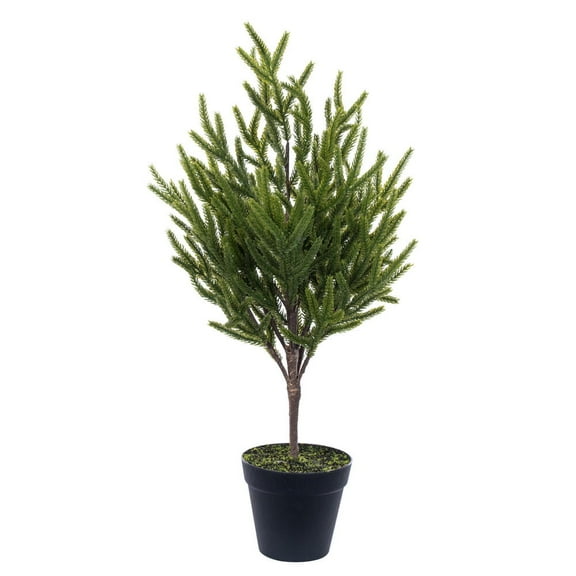 23.5" Potted Green Norfolk Pine Tree