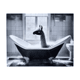 thumbnail image 2 of Cuadro Decorativo Llama En Tina Diseño Divertido sublimado En Placa De Aluminio (Chromaluxe)  50 x 76 cm, 2 of 3