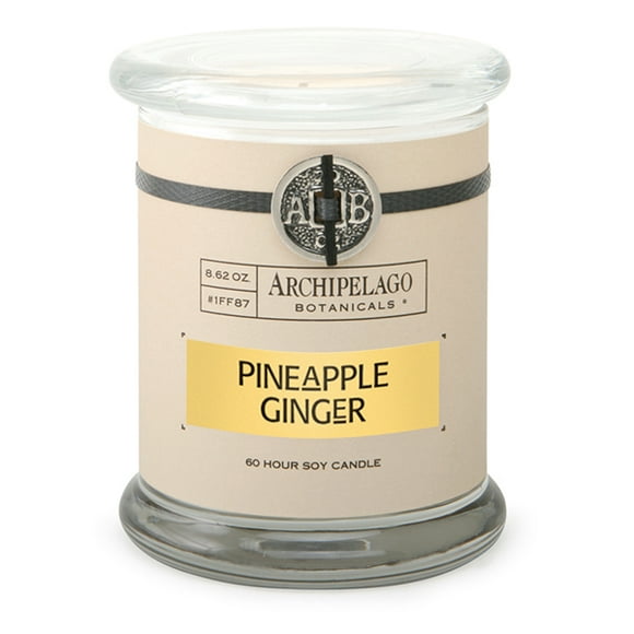 Archipelago Bougie en Verre Signature Ananas Gingembre 8,62 Oz