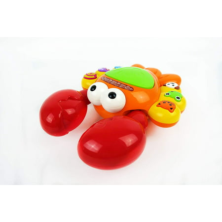 NBD Amazing Big Eyes Lobster - Our Toy For babies and Toddlers 12 Month Olds and Up Is A Great Educational Stem Toy For Kids and Preschoolers With Many Educational