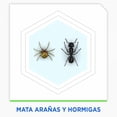 thumbnail image 2 of Insecticida en Aerosol Raid Especializado Mata Hormigas y Arañas 400 ml, 2 of 4