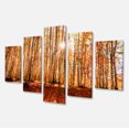 thumbnail image 2 of Bright Sun over Thick Fall Forest - Modern Forest Canvas Art, 2 of 3