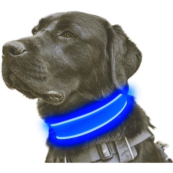 EONQY Light Up Dog Collar, LED Dog Collar USB Rechargeable, Waterproof Adjustable Nylon Reflective Dog Collar for Small Medium Large Dogs