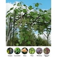 thumbnail image 4 of Aoile Garden Trellis, 79.53" x 79.53" x 79.53" Garden Arch for Various Climbing Plant Garden Decor, Easy Assembly, Black, 4 of 6