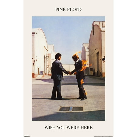 Pink Floyd - We Wish You Were Here Wall Poster, 22.375" x 34"