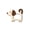 Dog, variant on ANXPTIME Artistic Wood Photo Display In Shape Cats Dog Design Picture Frame Gift