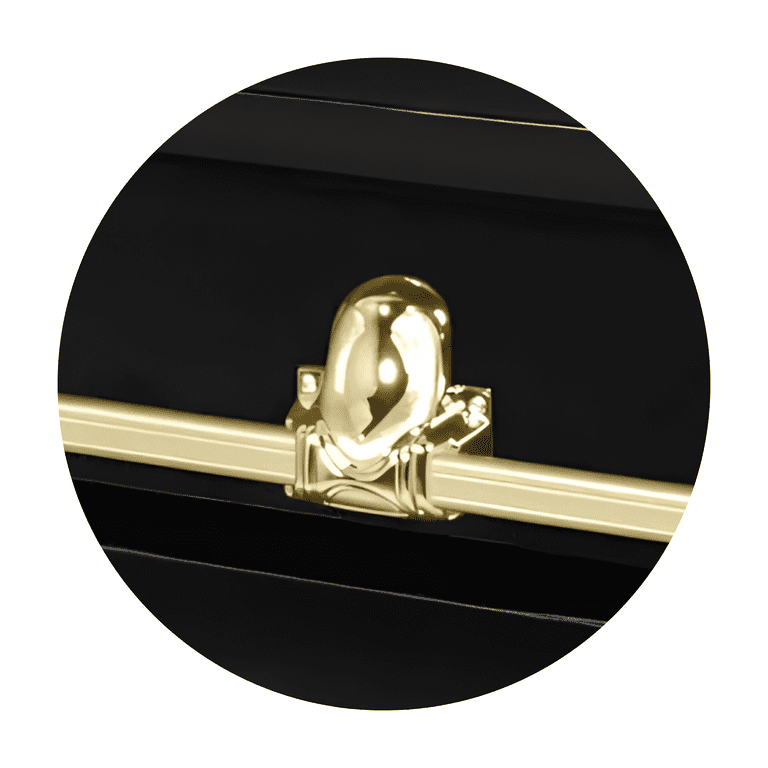  Beautiful Black/Gold Casket Gold Hardware White