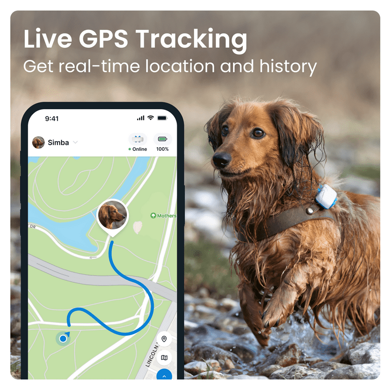 Tractive Dog GPS Tracker with Activity Monitoring, Fits any Collar