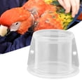 thumbnail image 3 of Neck Collar, Bird Wound Healing Neck Cover, Anti-bite Picking Feather, Transparent Color Bird Neck Protective Collar, For, 3 of 7
