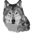 thumbnail image 2 of CafePress - Gray Wolf Mug - 11 oz Ceramic Mug - Novelty Coffee Tea Cup, 2 of 4