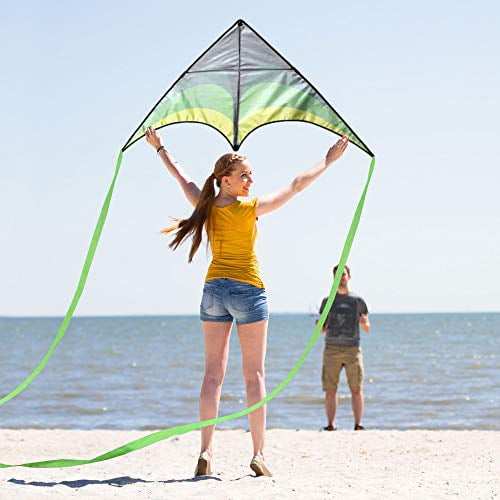 Delta Kite for Family Beach Trips: Ultimate Fun and Easy Flying Guide
