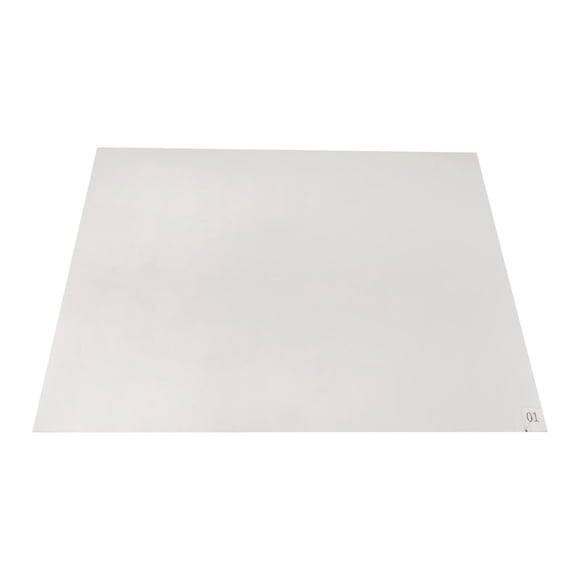 Tapetes adhesivos para el hogar, 30 hojas, eliminan el polvo y son ideales para hoteles. Blanco 45x60cm
