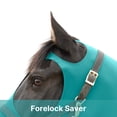 thumbnail image 6 of Resistance Horse Hood Pull-On with Face & Forelock Saver, Lycra Material, All Season, Small - Xlarge sizes, 6 of 7