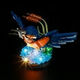 thumbnail image 5 of Q&C Lighting Led Light Kit Lighting Set Compatible With The Lego Ideas Kingfisher Bird 10331 Building Blocks Without Lego Set, 5 of 10