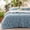 03-Light Blue, variant on U by Bedsure 3 Pieces Sage Green Queen Size Comforter Sets, Cute Flowers Botanical Lightweight Soft Bedding Set With 2 Pillow Shams