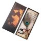 thumbnail image 1 of Juego de pluma estilográfica Vintage de plumas de pavo real, 1 pieza, con 5 puntas de acero inoxidable y estuche, juego de pluma de inmersión para caligrafía oso de fresa  Electrónica, 1 of 5