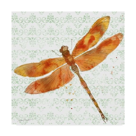 Trademark Fine Art 'Dragonfly Bliss 4' Canvas Art by Jean Plout
