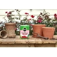 thumbnail image 2 of Miracle-Gro 2000221 Water Soluble Rose Plant Food, 18-24-16, 1.5 Lbs, 2 of 5