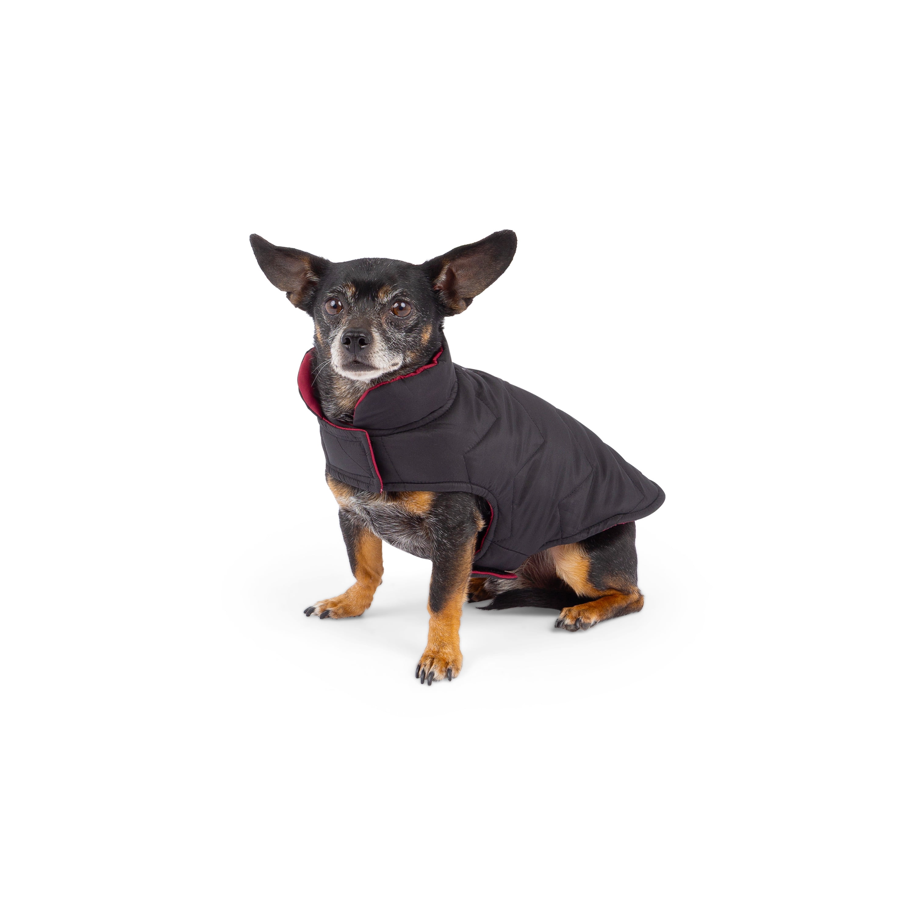 One Paw, Veste Matelassée Réversible et Compressible pour Chien