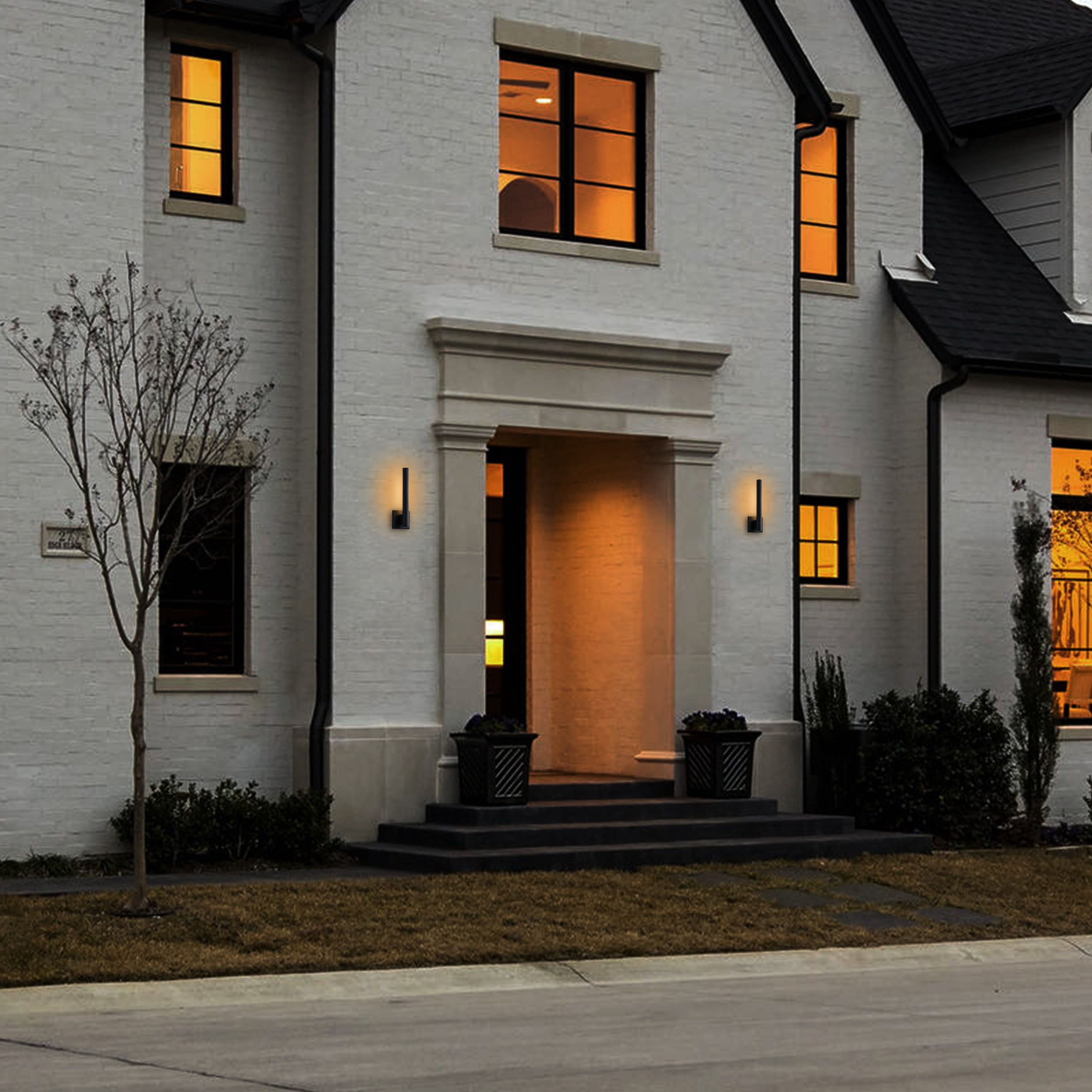 C Cattleya 1-Light Matte Black Dimmable LED Outdoor Wall Light with Frosted Glass Diffuser