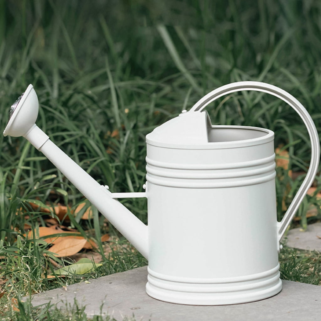 2L/4L polyethylene Watering Can with Ergonomic Handle & Long Spout for Indoor/Outdoor grasses, Garden Flower Care
