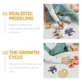 thumbnail image 3 of MasteelfCA 1 Set Leatherback Turtle Growth Cycle Models Early Learning Models Fake Turtles Figurines, 3 of 7