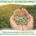 thumbnail image 5 of XPRS Nutra Size 00 Empty Capsules - 1000 Count Clear Empty Vegan Capsules - Vegetarian Empty Pill Capsules- DIY Vegetable Capsule Filling- Veggie Pill Capsules Empty Caps Pills, 5 of 5