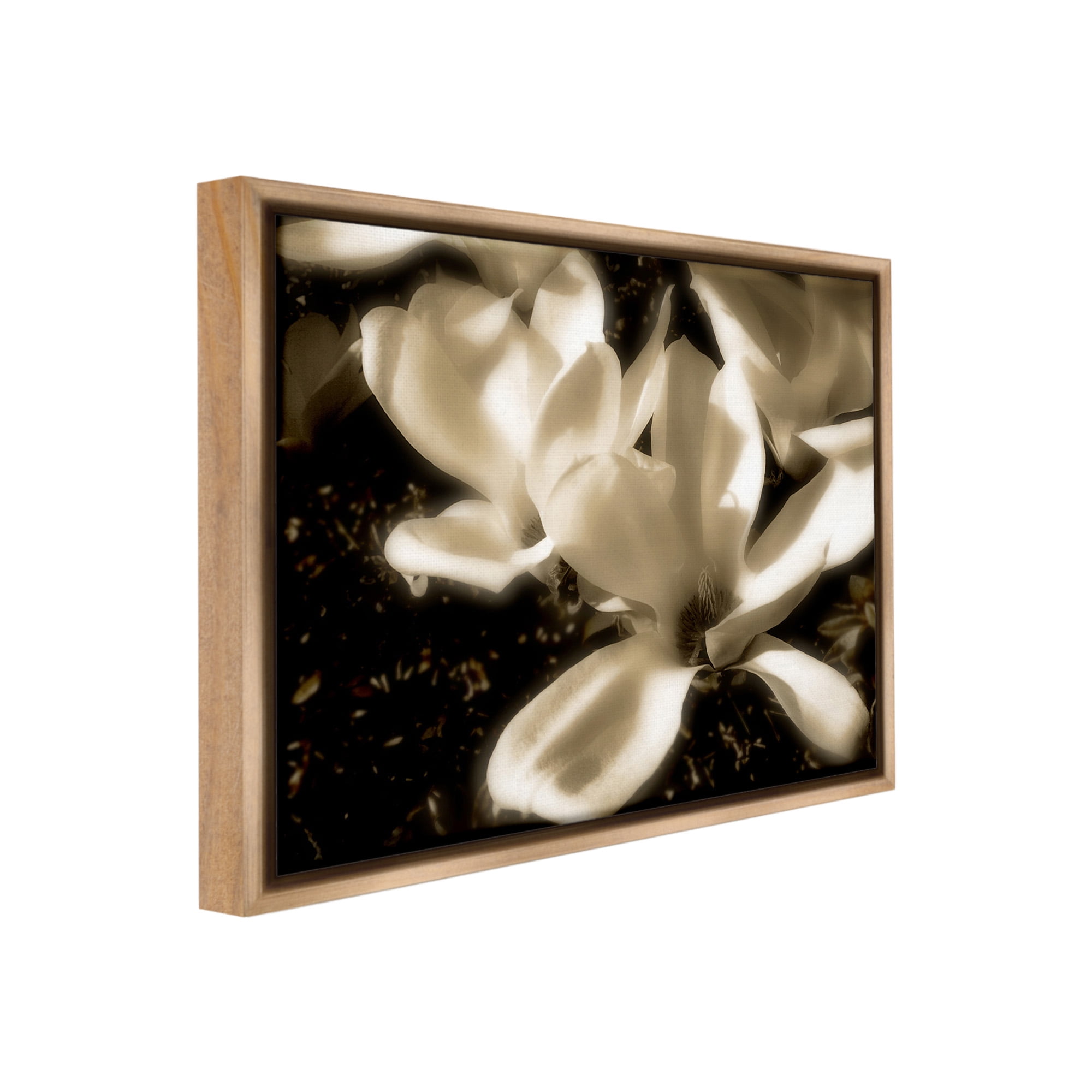 Stupell Industries Plant Petals in Nature Botanical & Floral Photography Brown Floater Framed Canvas Art Print Wall Art, 21 x 17