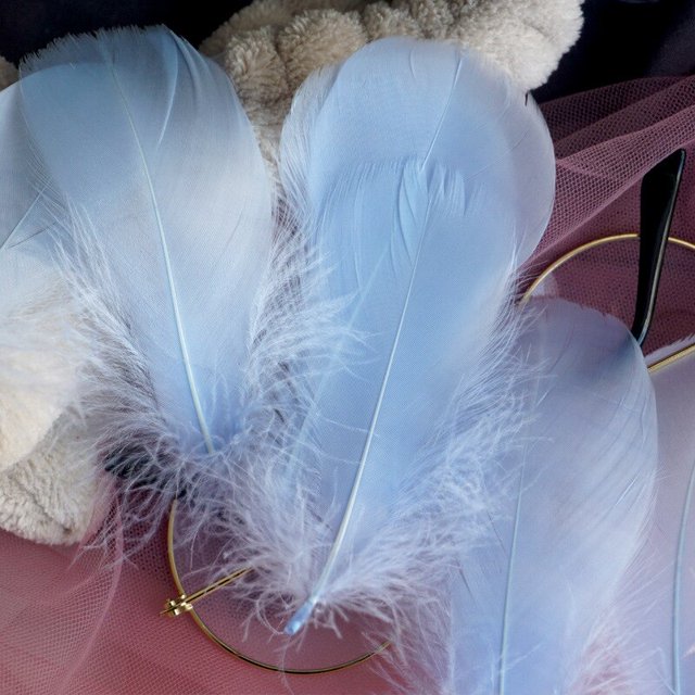 100 Uds 8-12 Cm pluma de ganso flotante media pluma colorida Natural para decoración de ropa de fiesta de boda plumas artesanales DIY Tan Jianjun unisex