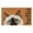 Birman, variant on Calloway Mills Feline Welcome Outdoor Doormat