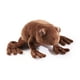 thumbnail image 4 of Peluche The Noble Collection Harry Potter Chocolate Frog, 4 of 7