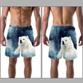 thumbnail image 3 of luoweisi Men's Beach Shorts Quick Dry Swim Trunks with Mesh Lining Galaxy Polar Bear 2XL, 3 of 5