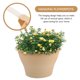 thumbnail image 5 of 2 unids colgando macetas de la planta verde colgando ollas de alcantarillado colgando macetas HOMEMAXS 11168755-MX, 5 of 6