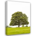 thumbnail image 1 of Karyn Millet 13x18 Gallery Wrapped Canvas Wall Art Titled - Tree I, 1 of 4