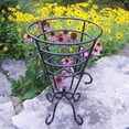 thumbnail image 1 of Oakland Living 6027-BK Support de Plante en Forme de Tasse Dorée, Noir, 1 of 1