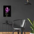 thumbnail image 6 of Epic Art 'Siam Tulip' by Elise Catterall, Acrylic Glass Wall Art, 16"x24", 6 of 8