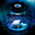 thumbnail image 3 of Glass Bottle Jar Terrarium Container Lamp Cork Stopper, 3 of 6
