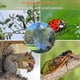 thumbnail image 2 of 2 Pcs Fruit Tree Netting with Zipper & Drawstring, 6ft x 6ft Insect & Bird Netting for Garden Protection, Ultra-Fine Mesh Garden Netting Pest Barr_i*, 2 of 5